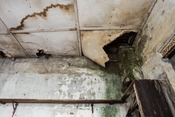 Water Damage Service in Rowlett