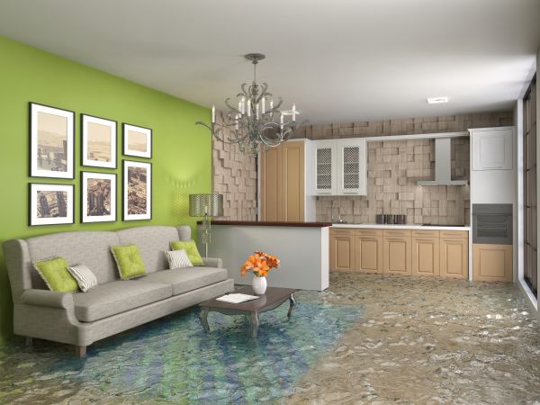 Cost of Wet Carpet Drying in Rowlett