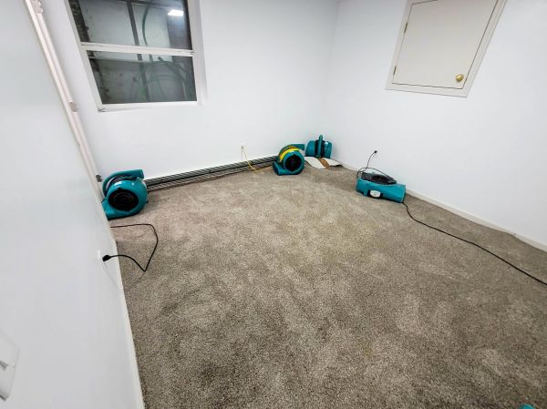 Flood Restoration Service in Rowlett
