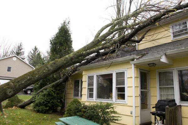 Hurricane Damage Repair in Rowlett