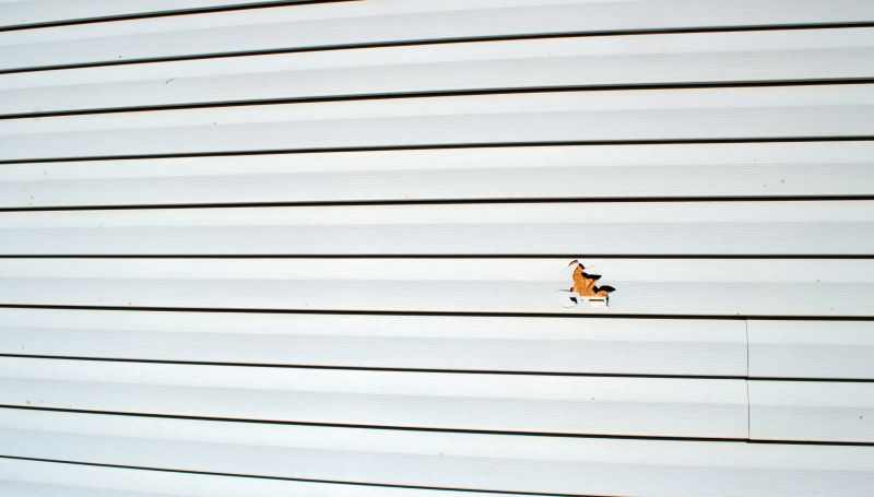 Specialized Siding Repair Services